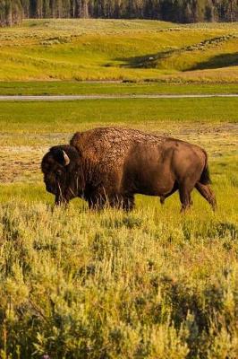 Book cover for A Bison American Buffalo in Wyoming Journal