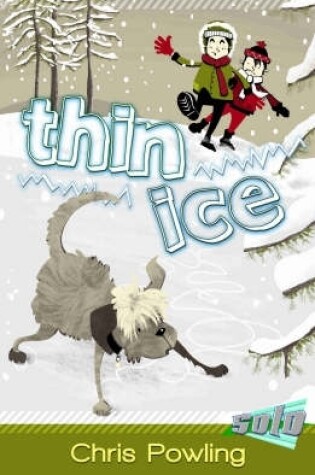 Cover of Thin Ice