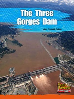 Book cover for The Three Gorges Dam