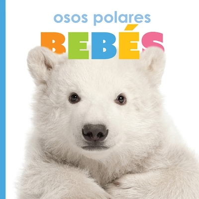 Cover of Osos Polares Beb�s
