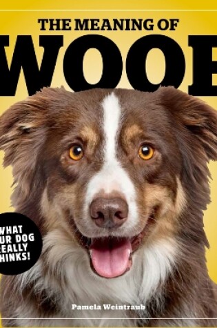 Cover of The Meaning Of Woof