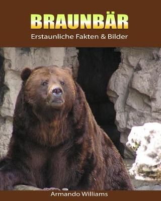 Book cover for Braunbar