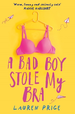 Book cover for A Bad Boy Stole My Bra