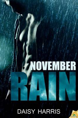 Book cover for November Rain