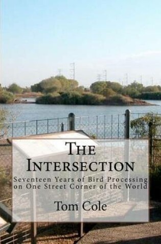 Cover of The Intersection