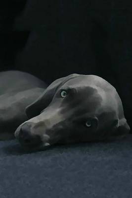 Cover of Weimaraner