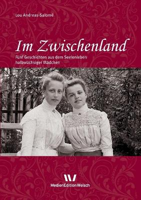 Book cover for Im Zwischenland