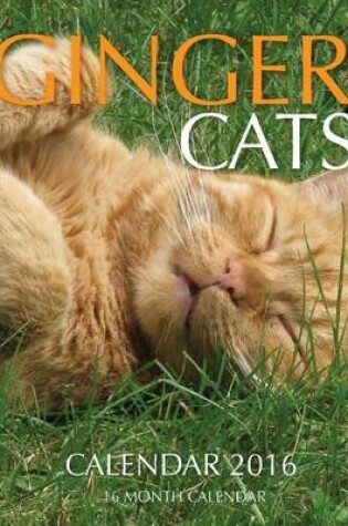 Cover of Ginger Cats Calendar 2016