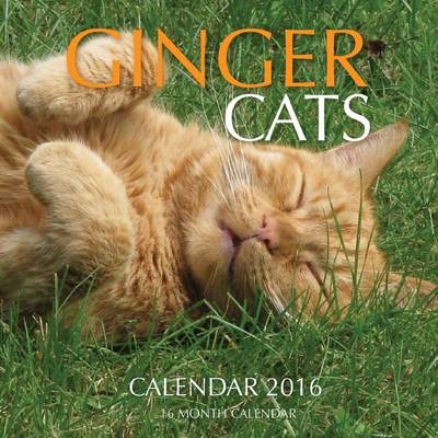 Book cover for Ginger Cats Calendar 2016