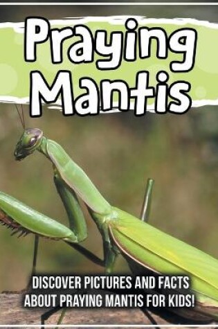 Cover of Praying Mantis