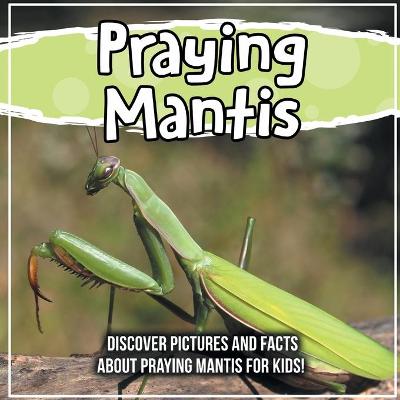 Book cover for Praying Mantis