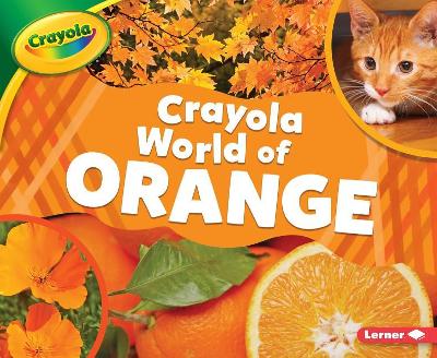 Book cover for Crayola (R) World of Orange