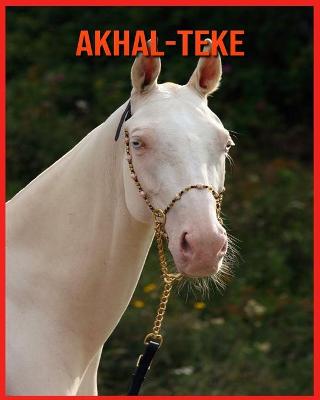 Book cover for Akhal-Teke