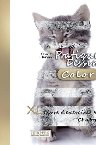 Cover of Pratique Dessin [Color] - XL Livre d'exercices 9