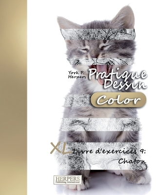 Cover of Pratique Dessin [Color] - XL Livre d'exercices 9