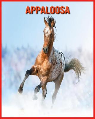 Book cover for Appaloosa