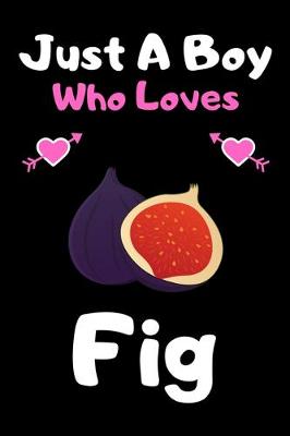 Book cover for Just a boy who loves fig