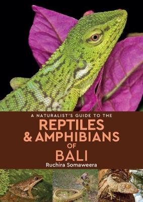 Book cover for A Naturalist's Guide to the Reptiles & Amphibians of bali