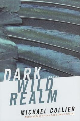 Cover of Dark Wild Realm