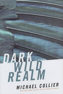 Book cover for Dark Wild Realm