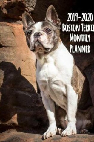 Cover of 2019-2020 Boston Terrier Monthly Planner