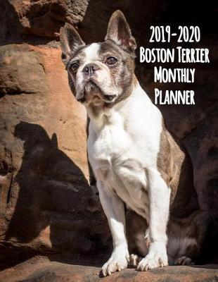 Book cover for 2019-2020 Boston Terrier Monthly Planner