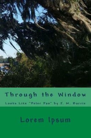 Cover of Through the Window