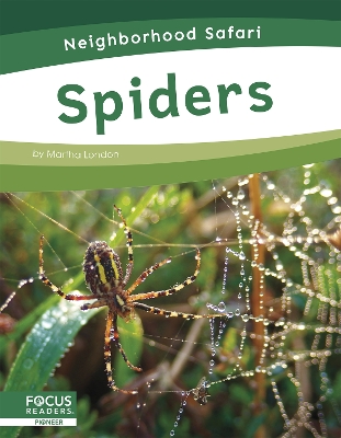 Book cover for Spiders