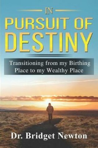 Cover of In Pursuit of Destiny