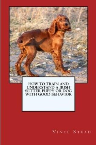 Cover of How to Train and Raise a Irish Setter Puppy or Dog with Good Behavior