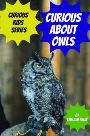 Cover of Curious About Owls