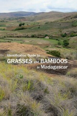 Cover of Identification Guide to Grasses and Bamboos in Madagascar