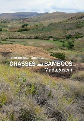 Book cover for Identification Guide to Grasses and Bamboos in Madagascar