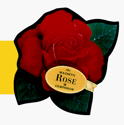 Book cover for Rose