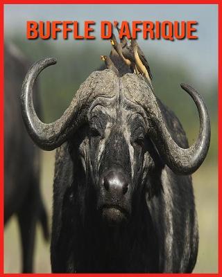 Book cover for Buffle d'Afrique