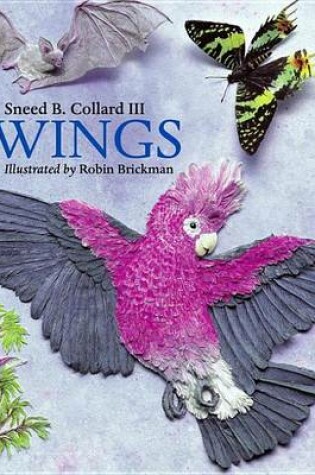 Cover of Wings