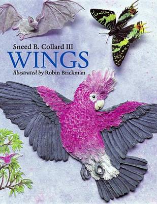 Book cover for Wings