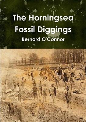 Book cover for The Horningsea Fossil Diggings