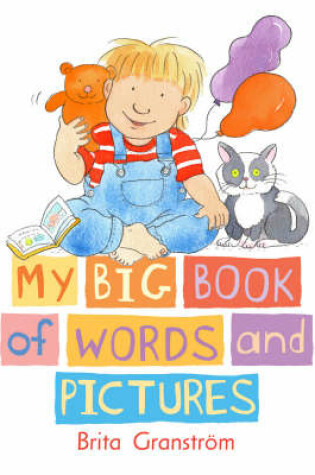 Cover of My Big Book Of Words And Pictures Board