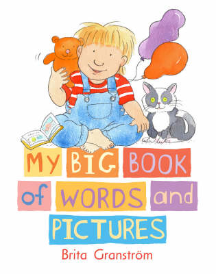 Book cover for My Big Book Of Words And Pictures Board