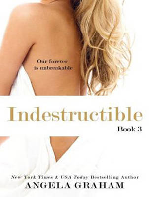 Book cover for Indestructible