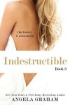 Book cover for Indestructible