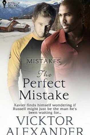 Cover of The Perfect Mistake