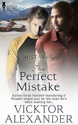 Book cover for The Perfect Mistake