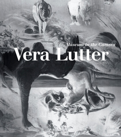 Book cover for Vera Lutter