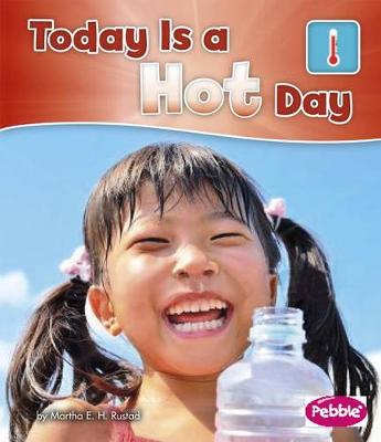 Book cover for Today Is a Hot Day