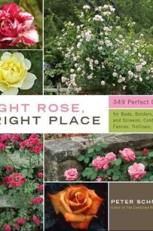 Cover of Right Rose, Right Place