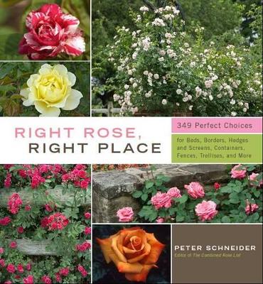 Book cover for Right Rose, Right Place