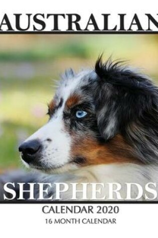 Cover of Australian Shepherds Calendar 2020