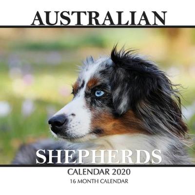 Book cover for Australian Shepherds Calendar 2020